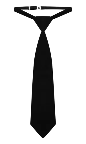 Галстук регат